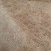 Дамаска 'Euphoria beige'